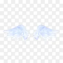 翅膀-空若网 翅膀-空若网