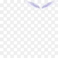 翅膀 天使 梦幻-空若网 翅膀 天使 梦幻-空若网