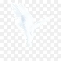 �ֻ��λð�ɫ�Գ��-������