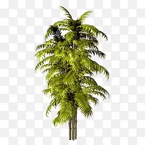 ɳ̲��-������