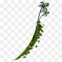 С��-������