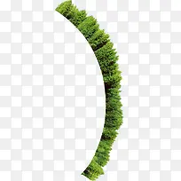 小树-空若网 小树-空若网