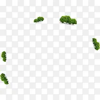 小树-空若网 小树-空若网