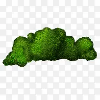 ��ɫ�ݶ�-������