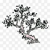 ��ī������-������