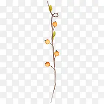 结果的树枝-空若网 结果的树枝-空若网