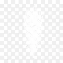 白色的羽毛-空若网 白色的羽毛-空若网