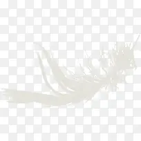 羽毛-空若网 羽毛-空若网