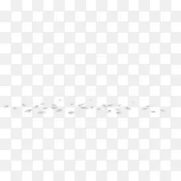 白色羽毛-空若网 白色羽毛-空若网