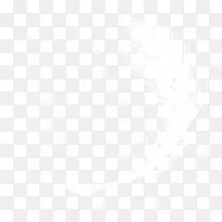 羽毛白色-空若网 羽毛白色-空若网