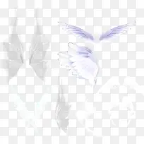 ��ɫ����ë-������