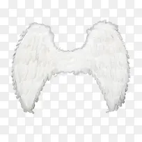 天使的翅膀-空若网 天使的翅膀-空若网