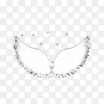 天使的翅膀-空若网 天使的翅膀-空若网