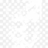 白色啤酒花装饰-空若网 白色啤酒花装饰-空若网