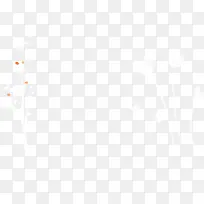 白色梦幻小草-空若网 白色梦幻小草-空若网