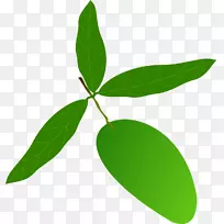 芒果-芒果-空若网 芒果-芒果-空若网