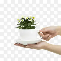 手捧绿植-空若网 手捧绿植-空若网