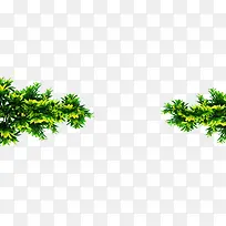 绿色树枝-空若网 绿色树枝-空若网