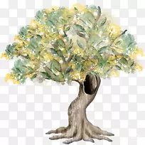 树空心图.弹簧树-空若网 树空心图.弹簧树-空若网