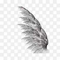 黑色的翅膀插画-空若网 黑色的翅膀插画-空若网