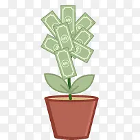 美金钱树-空若网 美金钱树-空若网