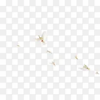 飞翔的鸟-空若网 飞翔的鸟-空若网