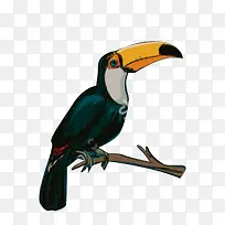 卡通树枝上的鸟设计-空若网 卡通树枝上的鸟设计-空若网