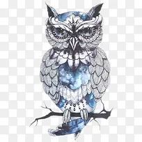 Ã¨Í·Ó¥ÎÆÉí-¿ÕÈôÍø Ã¨Í·Ó¥ÎÆÉí-¿ÕÈôÍø