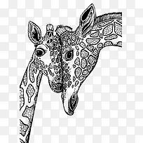 动物-空若网 动物-空若网