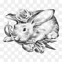 卡通兔子-空若网 卡通兔子-空若网