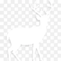 白色梅花鹿剪影-空若网 白色梅花鹿剪影-空若网