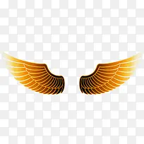 金色翅膀-空若网 金色翅膀-空若网