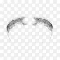 白色羽翼装饰图案-空若网 白色羽翼装饰图案-空若网