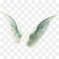 翅膀-空若网 翅膀-空若网