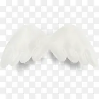 ��ɫ���-������