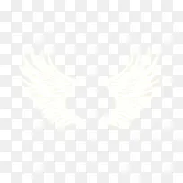 白色翅膀-空若网 白色翅膀-空若网