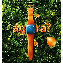 �ݵ��еĳ�ɫ�ֱ���������-������