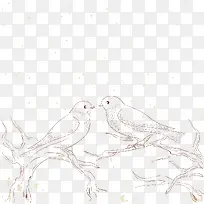 爱情鸟素描-空若网 爱情鸟素描-空若网