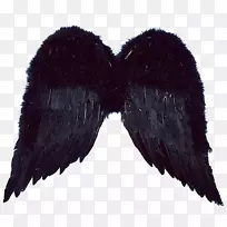 机翼标准测试图像光栅图形编辑器-天使翅膀-空若网 机翼标准测试图像光栅图形编辑器-天使翅膀-空若网