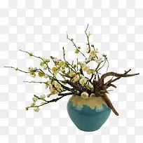 盆栽花卉-空若网 盆栽花卉-空若网