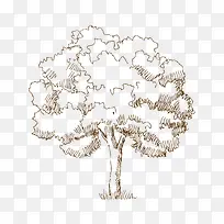 �ֻ�-������