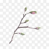 �ֻ���֦��ѿ-������