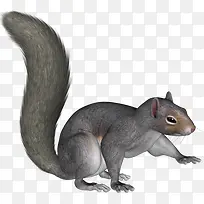 �ֻ�����-������