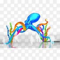 章鱼-空若网 章鱼-空若网