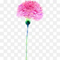 粉色绚丽彩色花朵-空若网 粉色绚丽彩色花朵-空若网