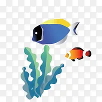 小丑鱼海草-空若网 小丑鱼海草-空若网