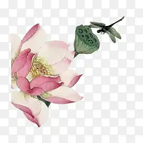 ��ٺɻ�����-������