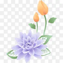 手绘紫色荷花-空若网 手绘紫色荷花-空若网