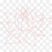 ��ɫ�����ɻ�-������