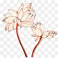 手绘花瓣-空若网 手绘花瓣-空若网